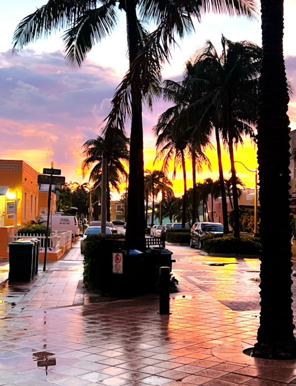 Palm-lined street at sunset